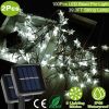 2Pcs Solar Powered String Lights 39.3FT 100LED Beads Fairy Star Lights